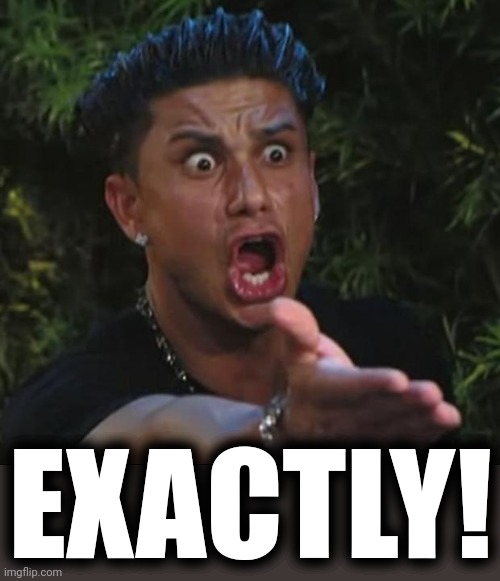 DJ Pauly D Meme | EXACTLY! | image tagged in memes,dj pauly d | made w/ Imgflip meme maker