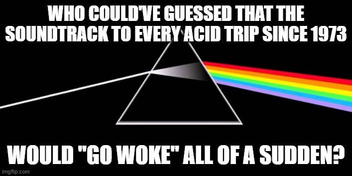 Pink Floyd Banner 01 | WHO COULD'VE GUESSED THAT THE SOUNDTRACK TO EVERY ACID TRIP SINCE 1973; WOULD "GO WOKE" ALL OF A SUDDEN? | image tagged in pink floyd banner 01 | made w/ Imgflip meme maker