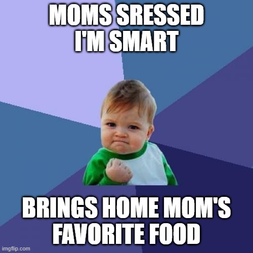 moms stressed | MOMS SRESSED
I'M SMART; BRINGS HOME MOM'S
FAVORITE FOOD | image tagged in memes,success kid | made w/ Imgflip meme maker