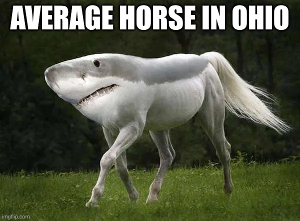 AVERAGE HORSE IN OHIO | image tagged in only in ohio | made w/ Imgflip meme maker