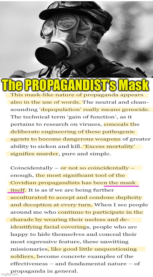 The Strategy to FOOL You | The PROPAGANDIST’s Mask | image tagged in memes,evil killers,sell u a bogus atory,some fall 4 it n help sell more,r u just stoopid or part of it,leftists r both | made w/ Imgflip meme maker