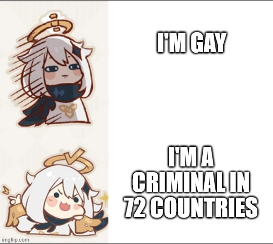 gay memes because i'm gay | I'M GAY; I'M A CRIMINAL IN 72 COUNTRIES | image tagged in genshin impact | made w/ Imgflip meme maker