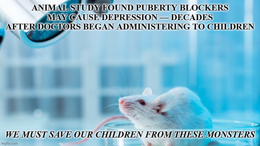 If they can't destroy them in the womb, they'll castrate them as young children. | ANIMAL STUDY FOUND PUBERTY BLOCKERS MAY CAUSE DEPRESSION — DECADES AFTER DOCTORS BEGAN ADMINISTERING TO CHILDREN; WE MUST SAVE OUR CHILDREN FROM THESE MONSTERS | image tagged in monsters,puberty blockers,child mutilation,child abusers | made w/ Imgflip meme maker