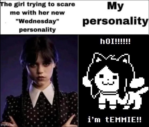 The girl trying to scare me with her new Wednesday personality | image tagged in the girl trying to scare me with her new wednesday personality | made w/ Imgflip meme maker