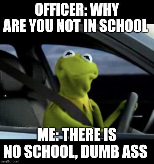 Kermit Driving | OFFICER: WHY ARE YOU NOT IN SCHOOL; ME: THERE IS NO SCHOOL, DUMB ASS | image tagged in kermit driving | made w/ Imgflip meme maker