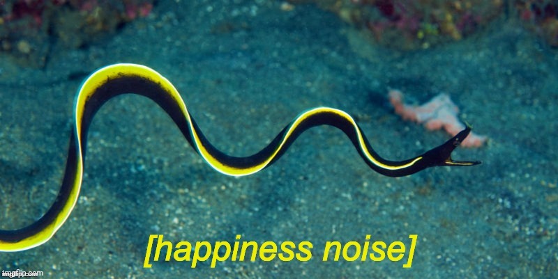 Happiness Noise Eel | image tagged in happiness noise eel | made w/ Imgflip meme maker