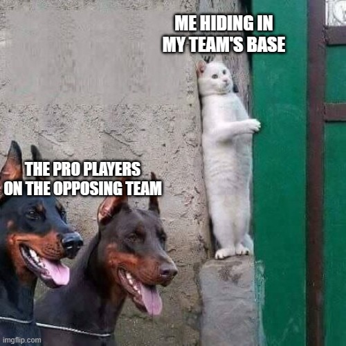 Multiplayer games in a nutshell: | ME HIDING IN MY TEAM'S BASE; THE PRO PLAYERS ON THE OPPOSING TEAM | image tagged in cat hiding from dogs,multiplayer,video games | made w/ Imgflip meme maker