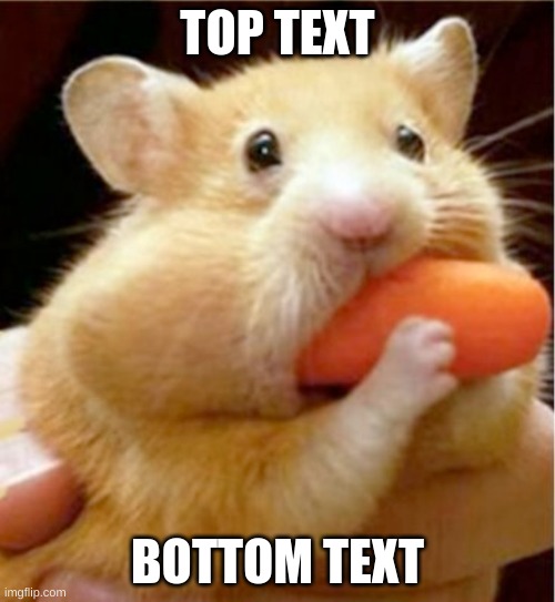 Can This Make It To The Front Page??? | TOP TEXT; BOTTOM TEXT | image tagged in hamster eats carrot mouthful | made w/ Imgflip meme maker