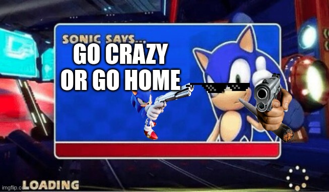CRAZY SONIC | GO CRAZY OR GO HOME | image tagged in sonic says | made w/ Imgflip meme maker