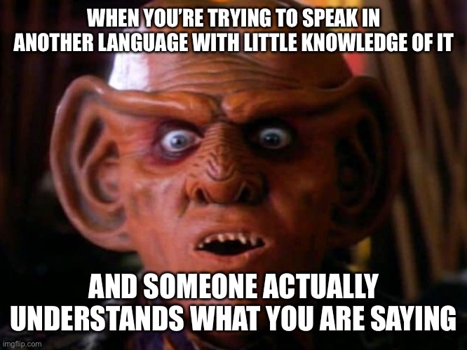 Oh! | WHEN YOU’RE TRYING TO SPEAK IN ANOTHER LANGUAGE WITH LITTLE KNOWLEDGE OF IT; AND SOMEONE ACTUALLY UNDERSTANDS WHAT YOU ARE SAYING | image tagged in quark surprised | made w/ Imgflip meme maker