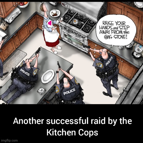 Bad mom bad mom what you going to do | image tagged in kitchen,cops,raid | made w/ Imgflip meme maker