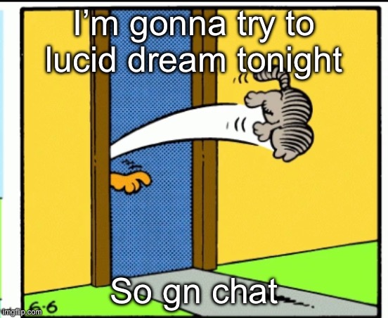 Should i look in a mirror for the funny | I’m gonna try to lucid dream tonight; So gn chat | image tagged in nermal gets kicked out | made w/ Imgflip meme maker