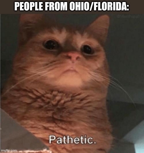 Pathetic Cat | PEOPLE FROM OHIO/FLORIDA: | image tagged in pathetic cat | made w/ Imgflip meme maker