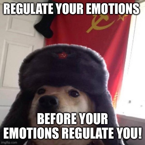 In soviet Russia (cf Yakov Smirnov) | REGULATE YOUR EMOTIONS; BEFORE YOUR EMOTIONS REGULATE YOU! | image tagged in russian doge | made w/ Imgflip meme maker