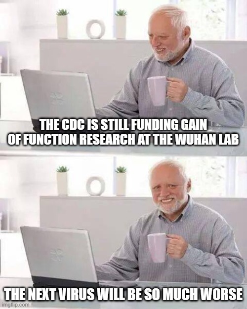 That's not a monumentally stupid idea or anything. | THE CDC IS STILL FUNDING GAIN OF FUNCTION RESEARCH AT THE WUHAN LAB; THE NEXT VIRUS WILL BE SO MUCH WORSE | image tagged in hide the pain harold,wuhan,kung flu,fauci,government corruption,stupid people | made w/ Imgflip meme maker