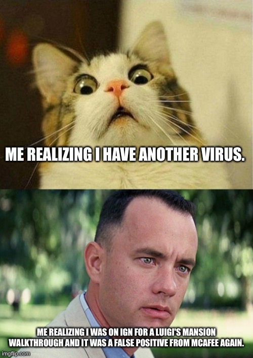 HAHA FUNNY RIGHT Imgflip