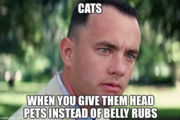 Tbh same. | CATS; WHEN YOU GIVE THEM HEAD PETS INSTEAD OF BELLY RUBS | image tagged in memes,and just like that | made w/ Imgflip meme maker