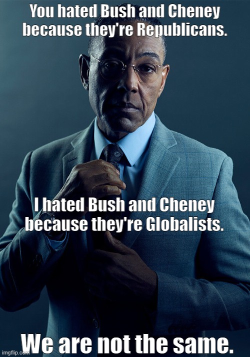 I hated the Bush Administration too |  You hated Bush and Cheney because they're Republicans. I hated Bush and Cheney because they're Globalists. We are not the same. | image tagged in gus fring we are not the same,republicans,rinos,globalists,george w bush,dick cheney | made w/ Imgflip meme maker
