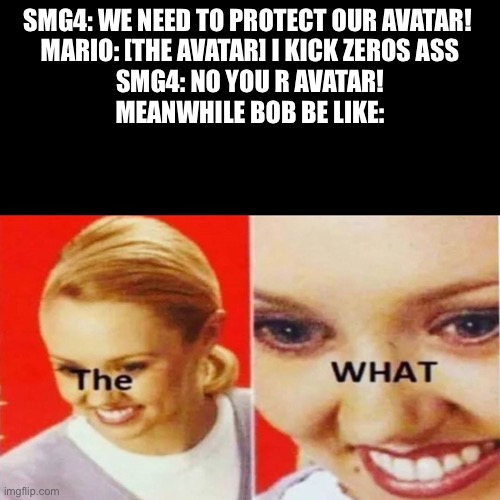 The What | SMG4: WE NEED TO PROTECT OUR AVATAR! 
MARIO: [THE AVATAR] I KICK ZEROS ASS
SMG4: NO YOU R AVATAR!
MEANWHILE BOB BE LIKE: | image tagged in the what,smg4 | made w/ Imgflip meme maker