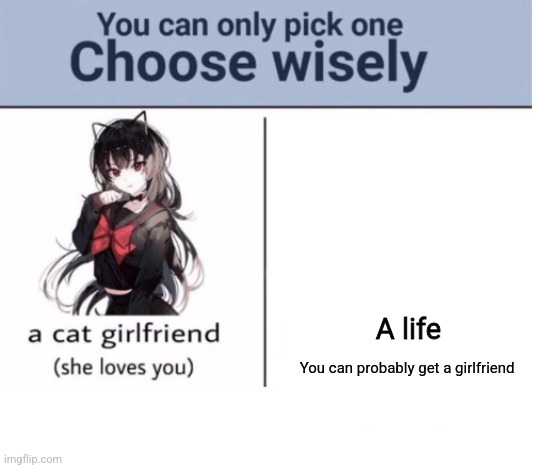 Choose wisely | A life; You can probably get a girlfriend | image tagged in choose wisely | made w/ Imgflip meme maker