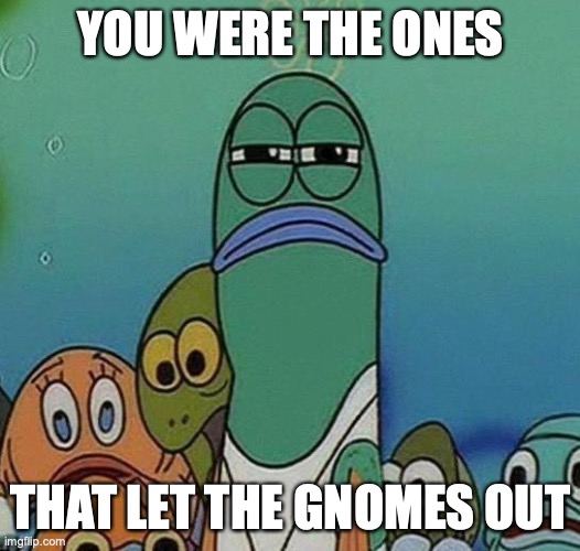 SpongeBob | YOU WERE THE ONES THAT LET THE GNOMES OUT | image tagged in spongebob | made w/ Imgflip meme maker