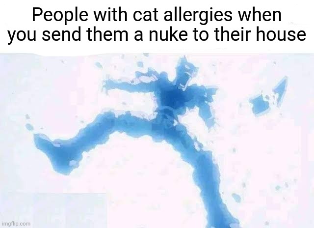 Yeah, weaklings | People with cat allergies when you send them a nuke to their house | image tagged in cat allergies,allergies,nuke | made w/ Imgflip meme maker