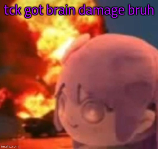 msmg | tck got brain damage bruh | image tagged in msmg | made w/ Imgflip meme maker