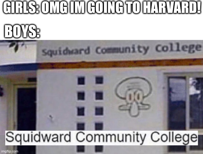 Lmfao | GIRLS: OMG IM GOING TO HARVARD! BOYS: | image tagged in squidward community college,boys vs girls | made w/ Imgflip meme maker