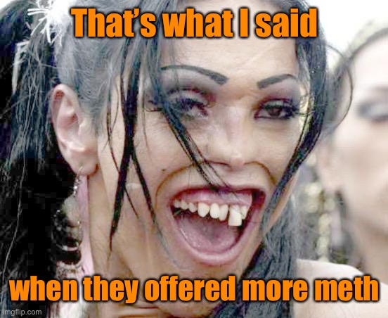 Ugly Girl | That’s what I said when they offered more meth | image tagged in ugly girl | made w/ Imgflip meme maker