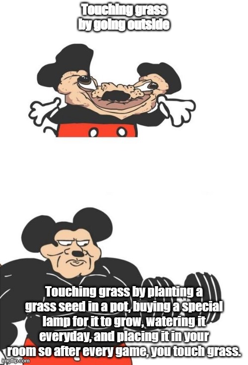 Gamer hacks 101 | Touching grass by going outside; Touching grass by planting a grass seed in a pot, buying a special lamp for it to grow, watering it everyday, and placing it in your room so after every game, you touch grass. | image tagged in buff mickey mouse | made w/ Imgflip meme maker
