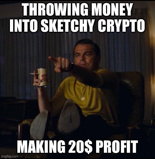 Leonardo DiCaprio Pointing | THROWING MONEY INTO SKETCHY CRYPTO; MAKING 20$ PROFIT | image tagged in leonardo dicaprio pointing | made w/ Imgflip meme maker