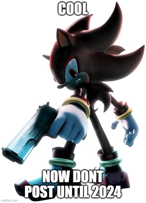 Shadow the Hedgehog | COOL NOW DONT POST UNTIL 2024 | image tagged in shadow the hedgehog | made w/ Imgflip meme maker