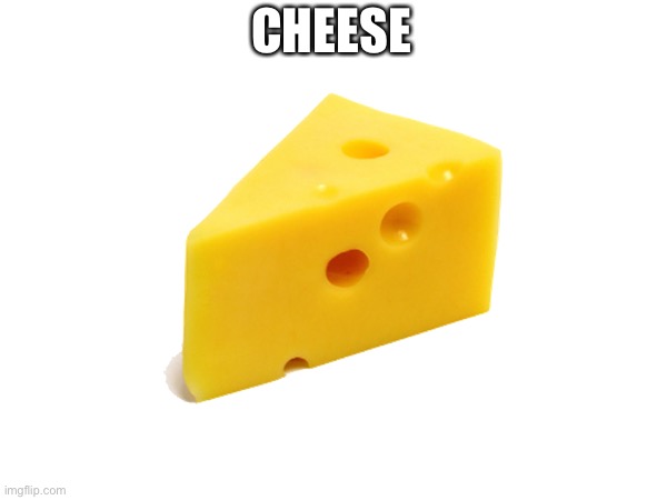 Cheese |  CHEESE | image tagged in cheese | made w/ Imgflip meme maker