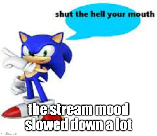 Shut the hell your mouth | the stream mood slowed down a lot | image tagged in shut the hell your mouth | made w/ Imgflip meme maker