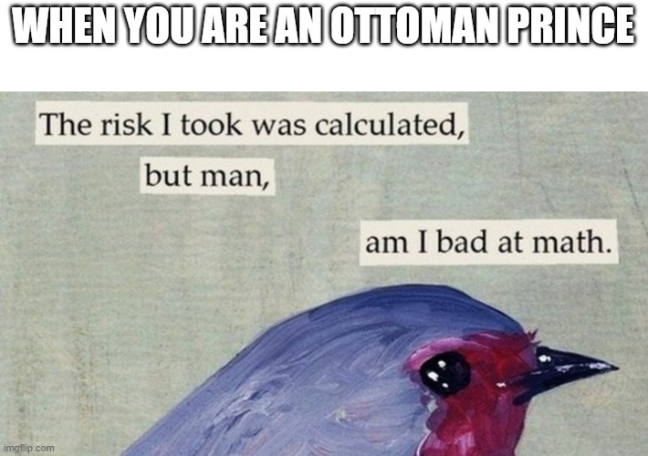 It's almost  an Ottoman prince | WHEN YOU ARE AN OTTOMAN PRINCE | image tagged in risky bird,memes | made w/ Imgflip meme maker