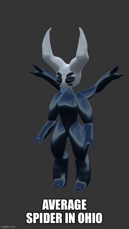 silly model OwO | AVERAGE SPIDER IN OHIO | image tagged in furry,hollow knight | made w/ Imgflip meme maker