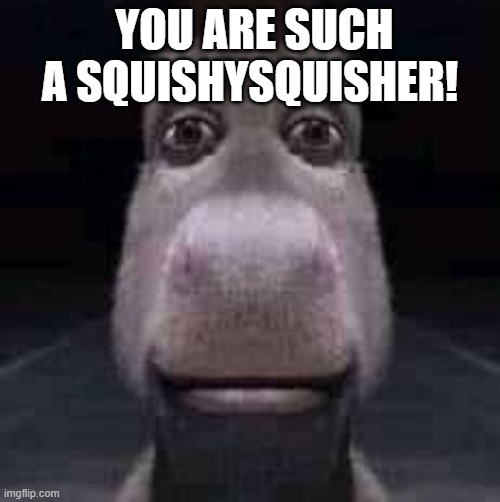 Donkey staring | YOU ARE SUCH A SQUISHYSQUISHER! | image tagged in donkey staring | made w/ Imgflip meme maker