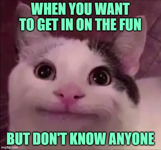 Introvert Life | WHEN YOU WANT TO GET IN ON THE FUN; BUT DON'T KNOW ANYONE | image tagged in awkward smile cat,introvert,don't know anyone,so true,funny memes,having fun | made w/ Imgflip meme maker