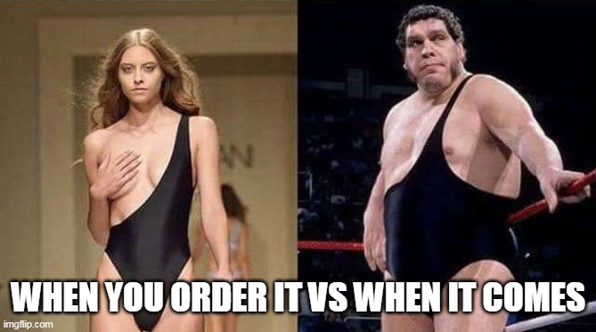 when you order it vs when it comes | WHEN YOU ORDER IT VS WHEN IT COMES | image tagged in online order,funny,wish,andrethegiant,model,onepiece | made w/ Imgflip meme maker