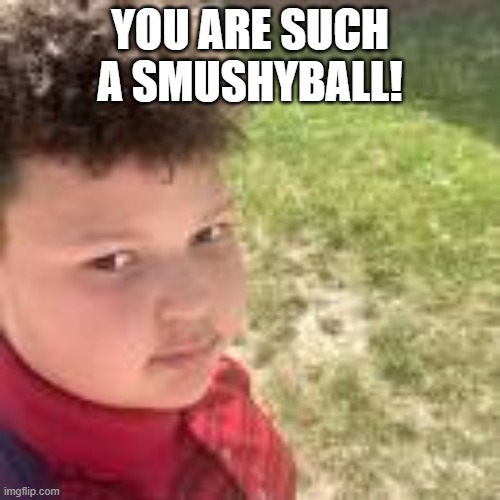 Light skin stare | YOU ARE SUCH A SMUSHYBALL! | image tagged in light skin stare | made w/ Imgflip meme maker