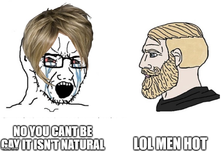 Soyboy Vs Yes Chad | LOL MEN HOT; NO YOU CANT BE GAY IT ISN'T NATURAL | image tagged in soyboy vs yes chad | made w/ Imgflip meme maker