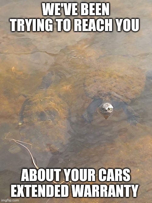 WE'VE BEEN TRYING TO REACH YOU; ABOUT YOUR CARS EXTENDED WARRANTY | made w/ Imgflip meme maker