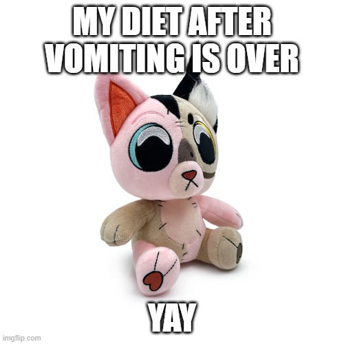 Bingus x Floppa hybrid plushie™ | MY DIET AFTER VOMITING IS OVER; YAY | image tagged in bingus x floppa hybrid plushie | made w/ Imgflip meme maker