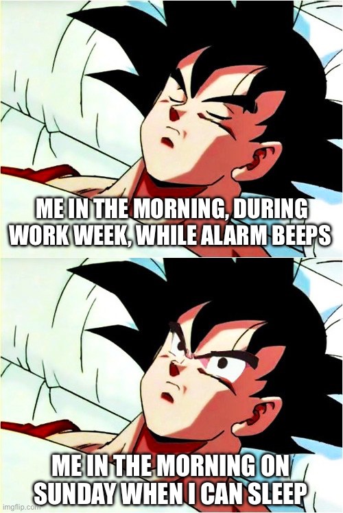 Week sleep time | ME IN THE MORNING, DURING WORK WEEK, WHILE ALARM BEEPS; ME IN THE MORNING ON SUNDAY WHEN I CAN SLEEP | image tagged in goku sleeping wake up | made w/ Imgflip meme maker