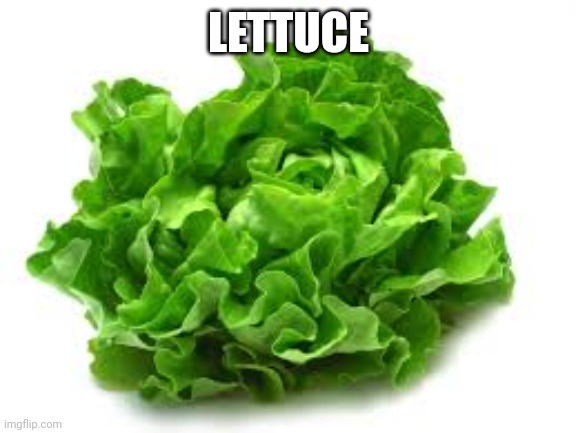 Lettuce | LETTUCE | image tagged in memes,vegetables,lettuce | made w/ Imgflip meme maker