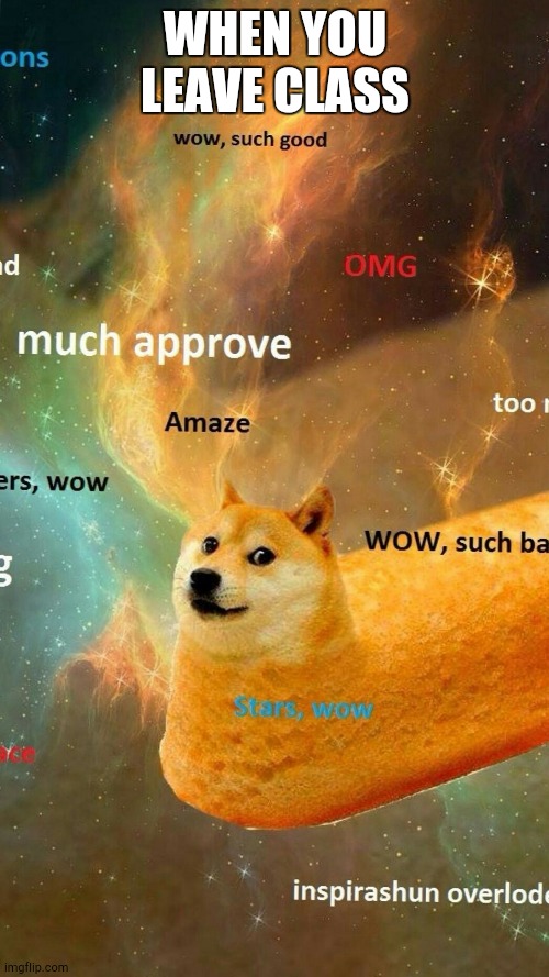 Cosmic Doge | WHEN YOU LEAVE CLASS | image tagged in cosmic doge | made w/ Imgflip meme maker