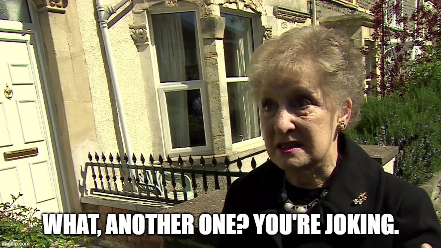 Brenda from Bristol | WHAT, ANOTHER ONE? YOU'RE JOKING. | image tagged in you're joking | made w/ Imgflip meme maker