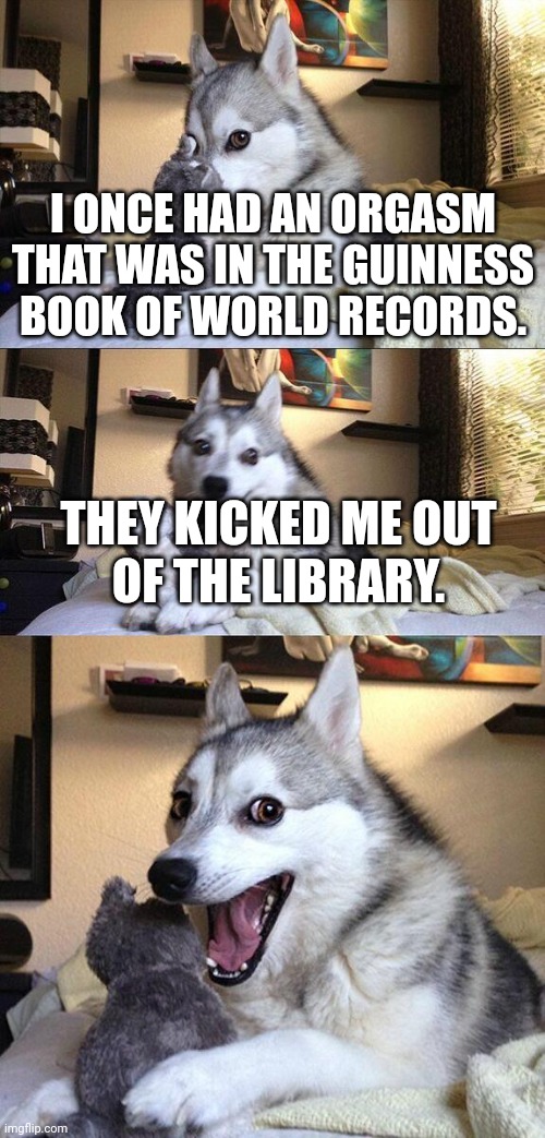 Bad Pun Dog | I ONCE HAD AN ORGASM THAT WAS IN THE GUINNESS BOOK OF WORLD RECORDS. THEY KICKED ME OUT; OF THE LIBRARY. | image tagged in memes,bad pun dog | made w/ Imgflip meme maker