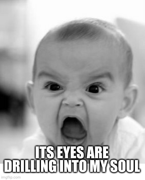 Angry Baby Meme | ITS EYES ARE DRILLING INTO MY SOUL | image tagged in memes,angry baby | made w/ Imgflip meme maker