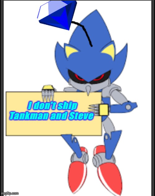 I don’t ship Tankman and Steve | image tagged in metal sonic doll holding sign | made w/ Imgflip meme maker
